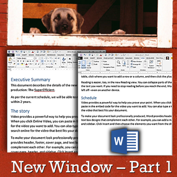 new windows by Dr. Nitin Paranjape