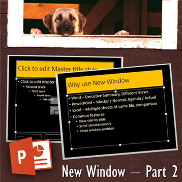 new window - part 2 - new window in powerpoint - Dr. Nitin Paranjape